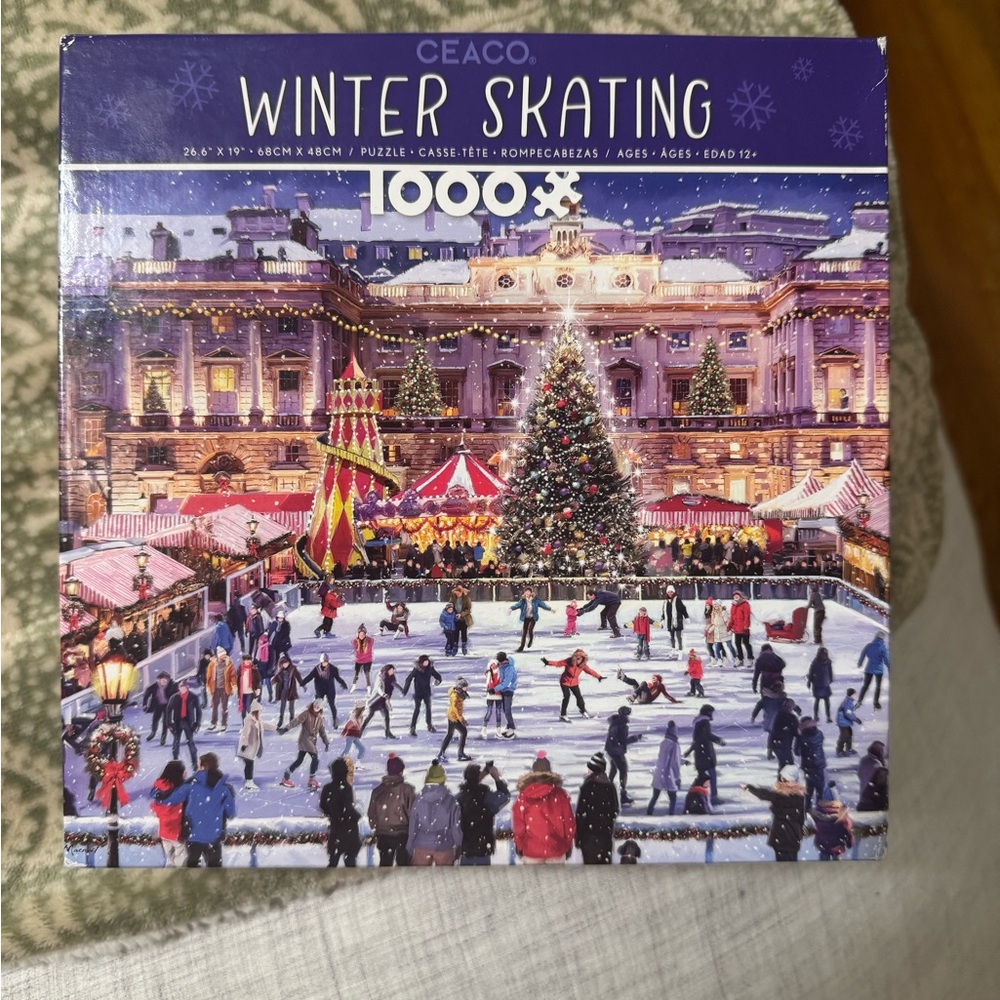 Winter Skating Puzzle - 1000 Pieces